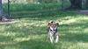 Baxter