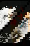 Capone- Foster Needed