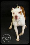 Capone- Foster Needed