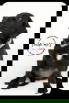 Janie -Puppy