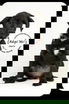 Janie -Puppy