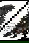 Janie -Puppy