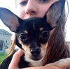 Gordita -Puppy