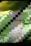 Goose