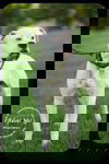 Goose