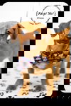 Dixon -Puppy