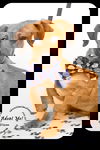 Dixon -Puppy
