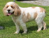 Millie