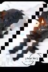 Carla -Puppy