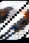 Carla -Puppy