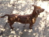 Junior