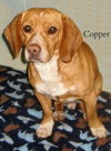 Copper