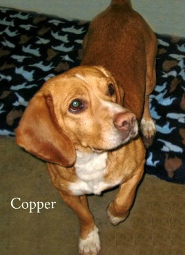 Copper
