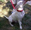 Mister