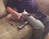 Artie