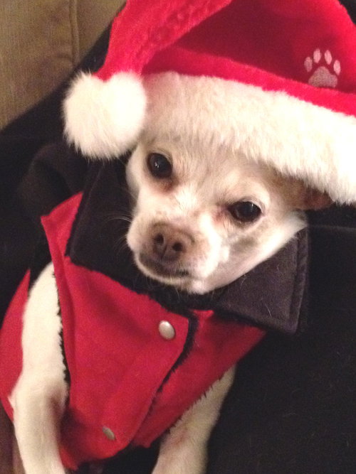 Artie