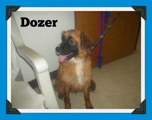 Dozer