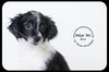 Elise -Puppy