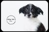 Elise -Puppy