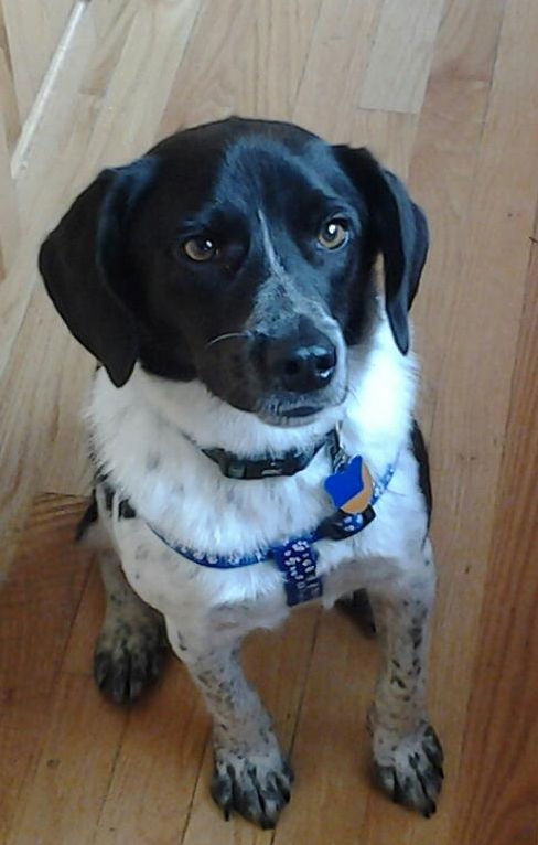 Barkly