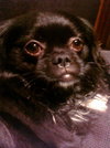 Seymour