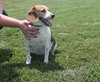 Roxie