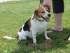 Roxie