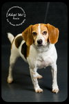Roxie