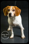 Roxie