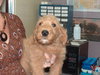 Tucker