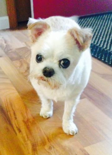 Maggie