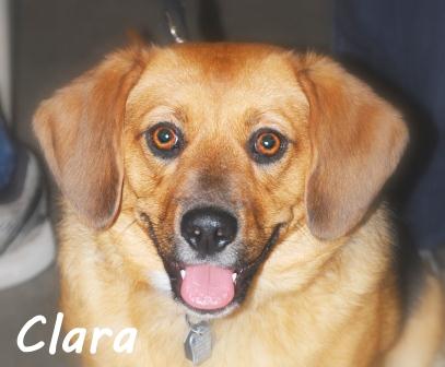 Clara