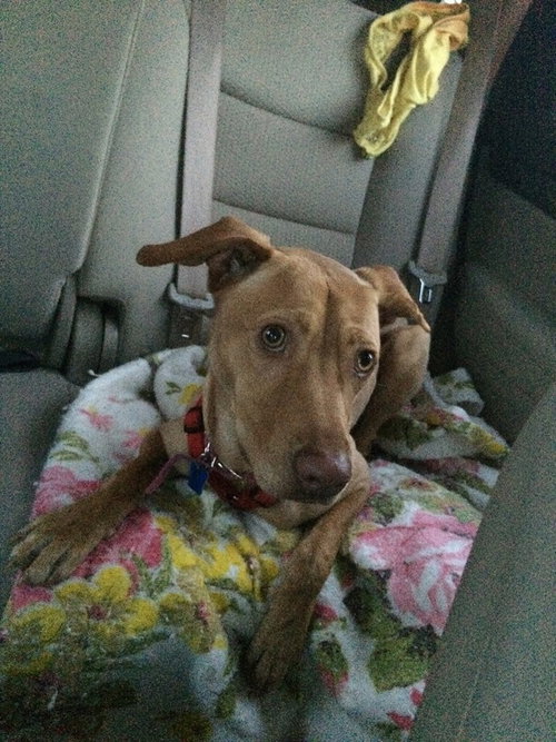 Coco
