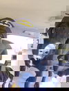 Pepper
