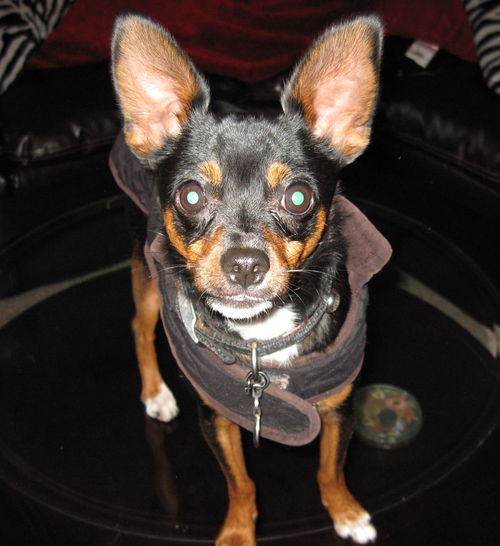 Fonzi