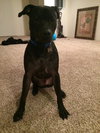 Roscoe