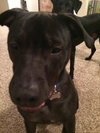 Roscoe