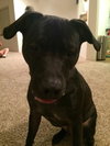 Roscoe