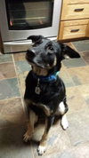 Bo