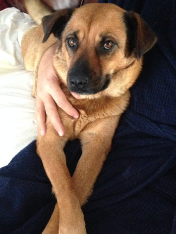 Betsy