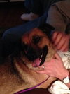 Betsy