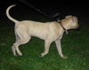 Koby