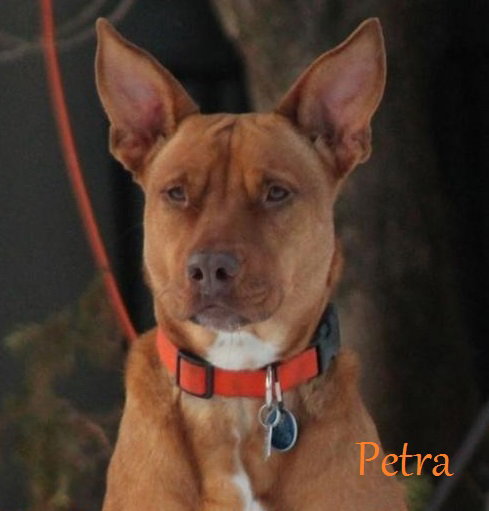 Petra