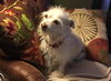 Frankie