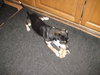 Humphrey