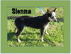 Sienna