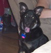 Lexie