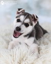 Hera