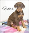 Fiona