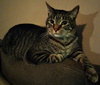 Charlie
